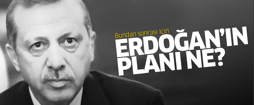 Erdoğan'ın planı ne?