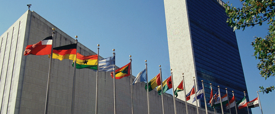 BM'ye Filistin bayrağı asılacak