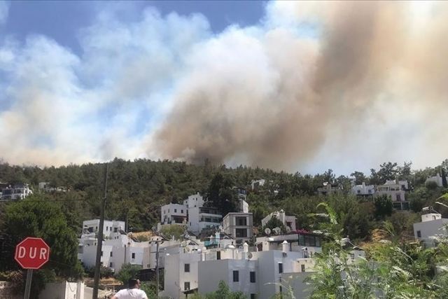 برا وجوا.. تواصل الجهود لإطفاء حرائق بودروم التركية