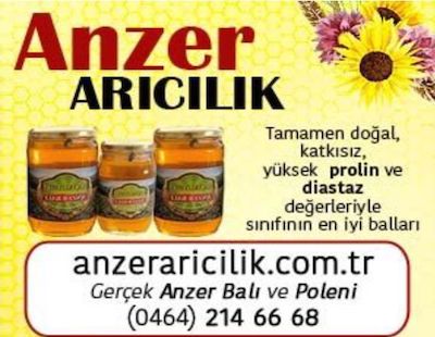 Anzer Arıcılık