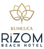Rizom Logo