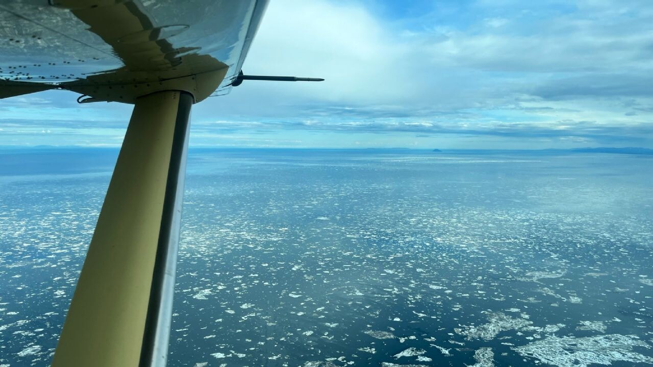 10 kişiyi taşıyan uçak havada kayboldu!