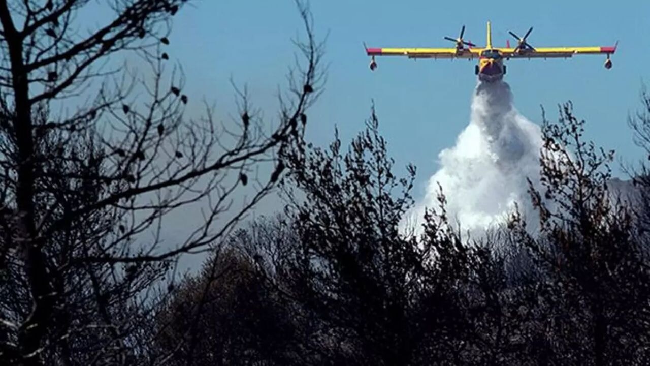 Arizona yanıyor: 8 bin 265 hektar küle döndü