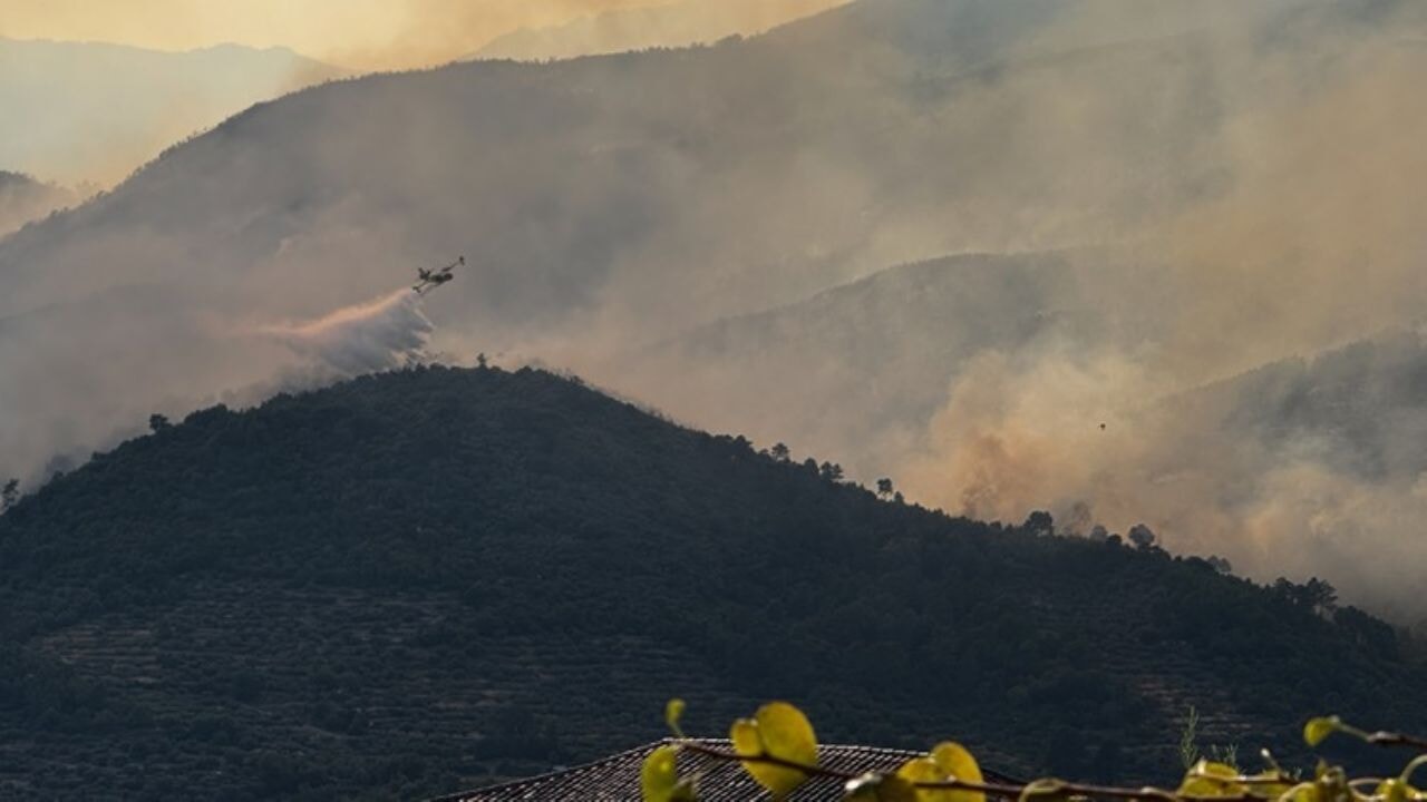 Avrupa Alev Alev: Kıta, 2025 Yazında Orman Yangınlarıyla Boğuşuyor