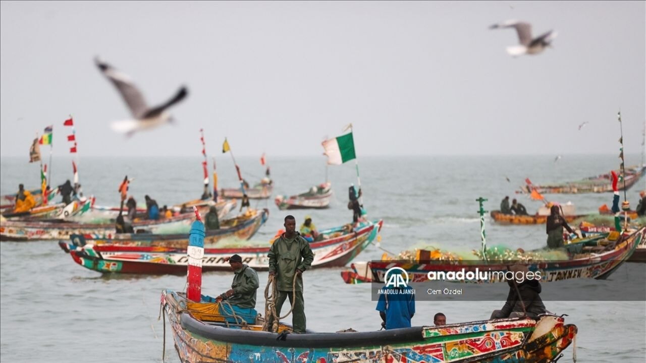 Batı Afrika'da balıkçılık: Zengin deniz kaynaklarıyla geçim kaynağı