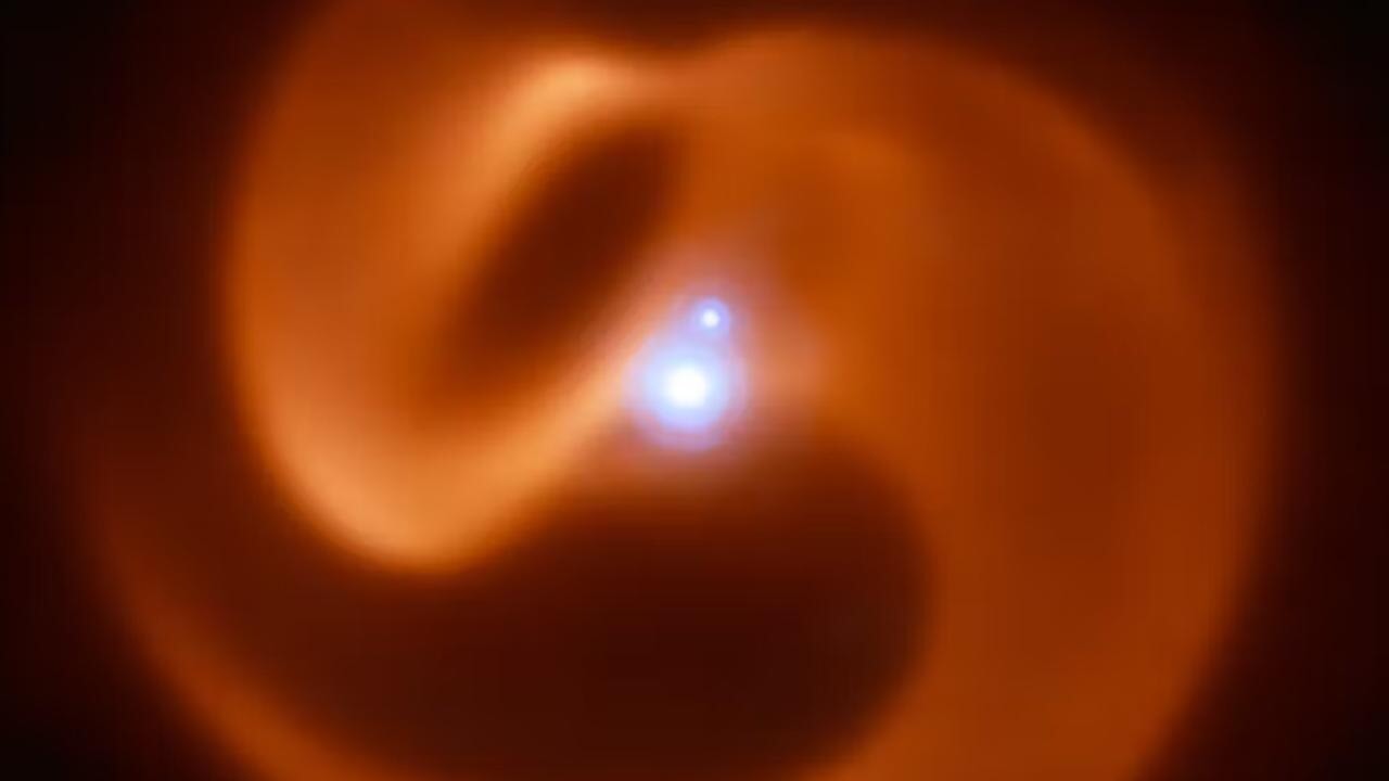 'Birbirine dolanmış yılanlar' gibi görüntülenen yıldızlar şaşırttı