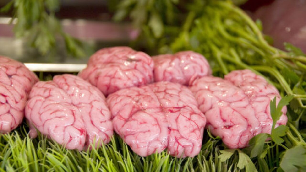 Eski Avrupalılar düşmanlarının beyinlerini yemiş…