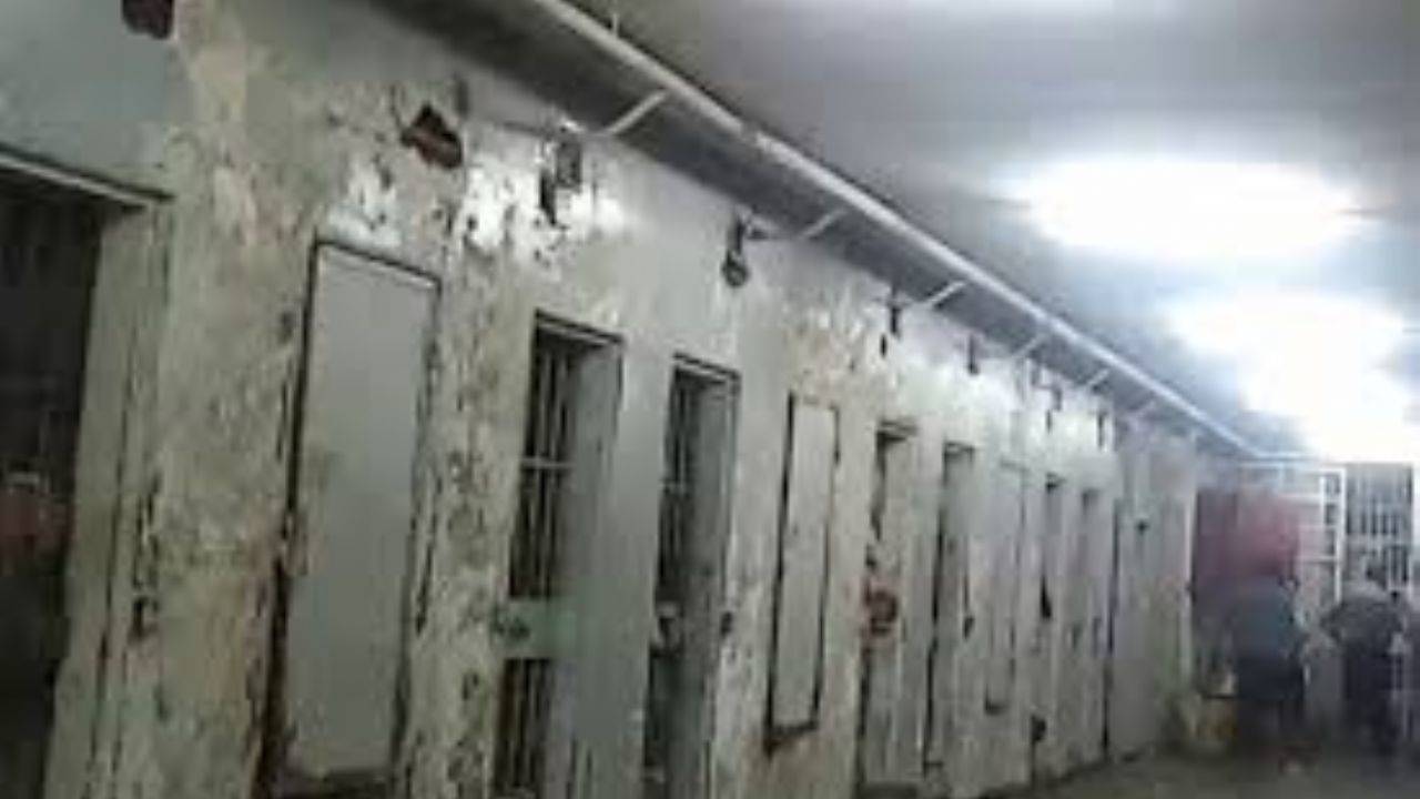 'İnsan mezbahası': Suriye'de hapiste 'unutulanlar' serbest bırakıldı