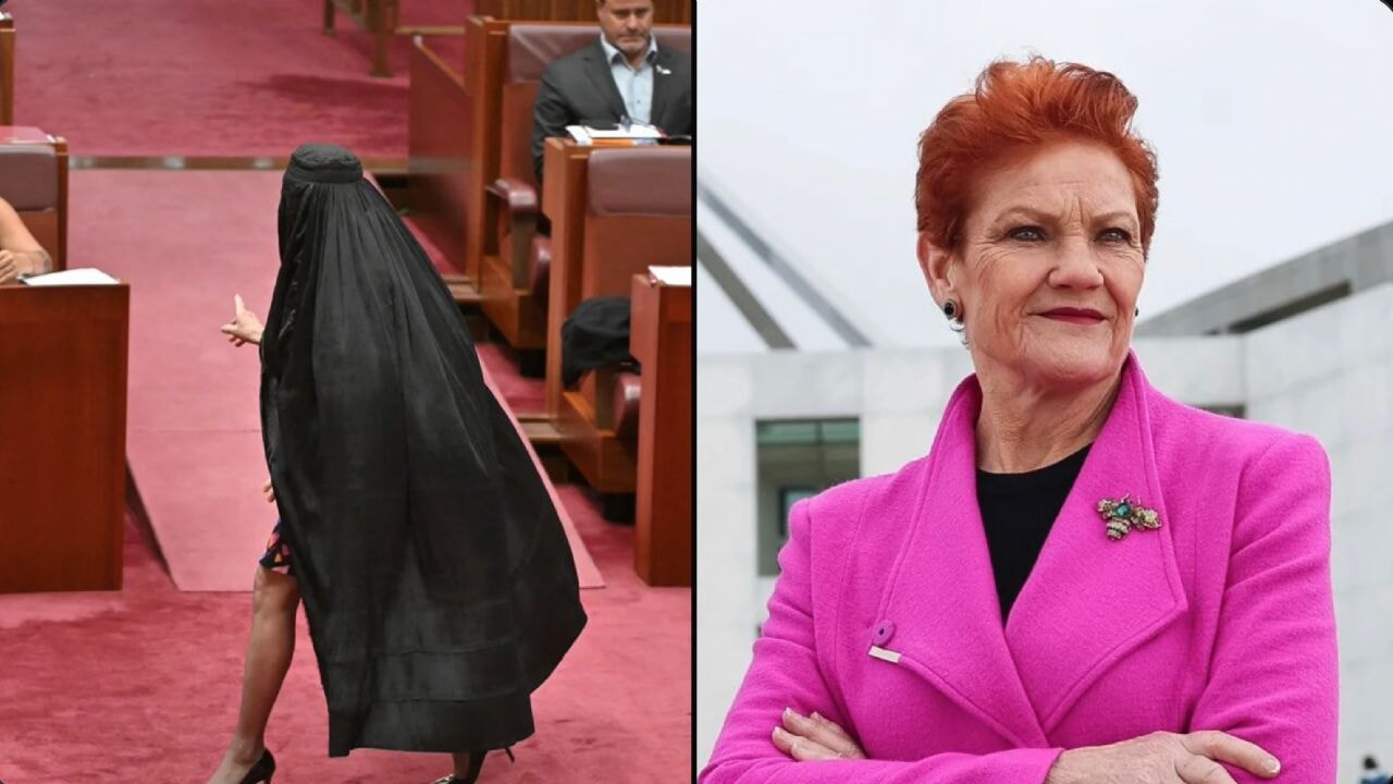 Irkçı senatör çıldırdı, meclisten uzaklaştırıldı