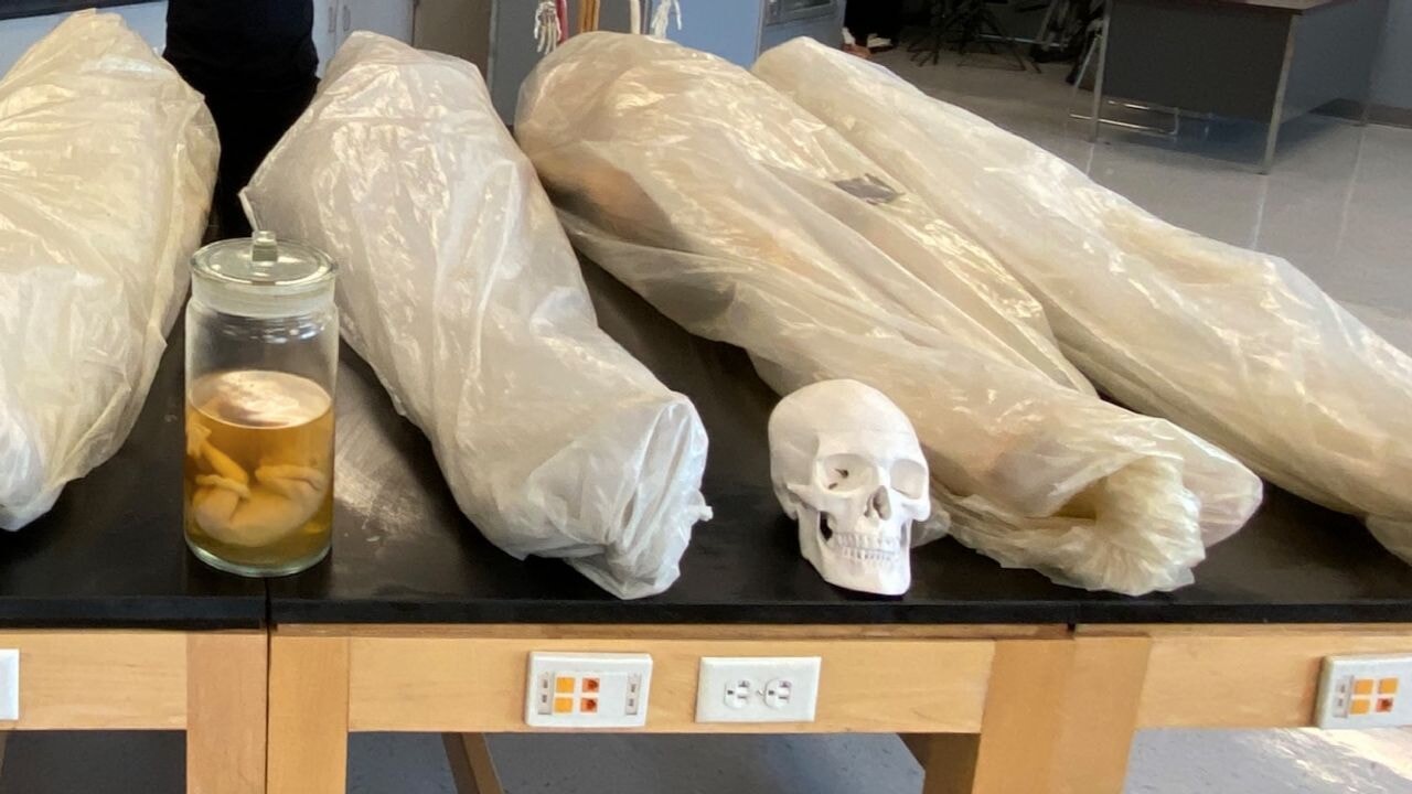 İsrail askerleri için kadavra satıldığı ortaya çıktı