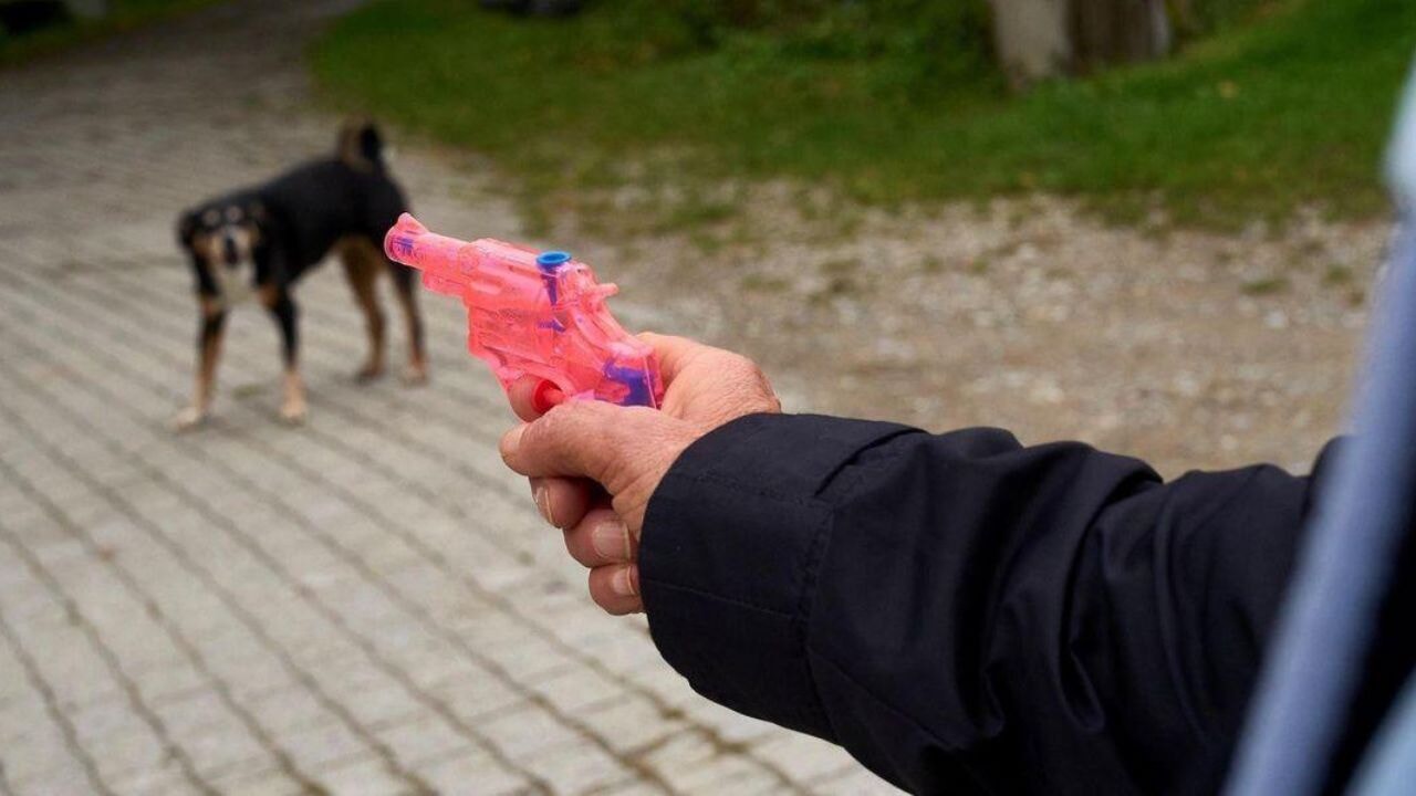 İsviçreli siyasetçiye su tabancası cezası