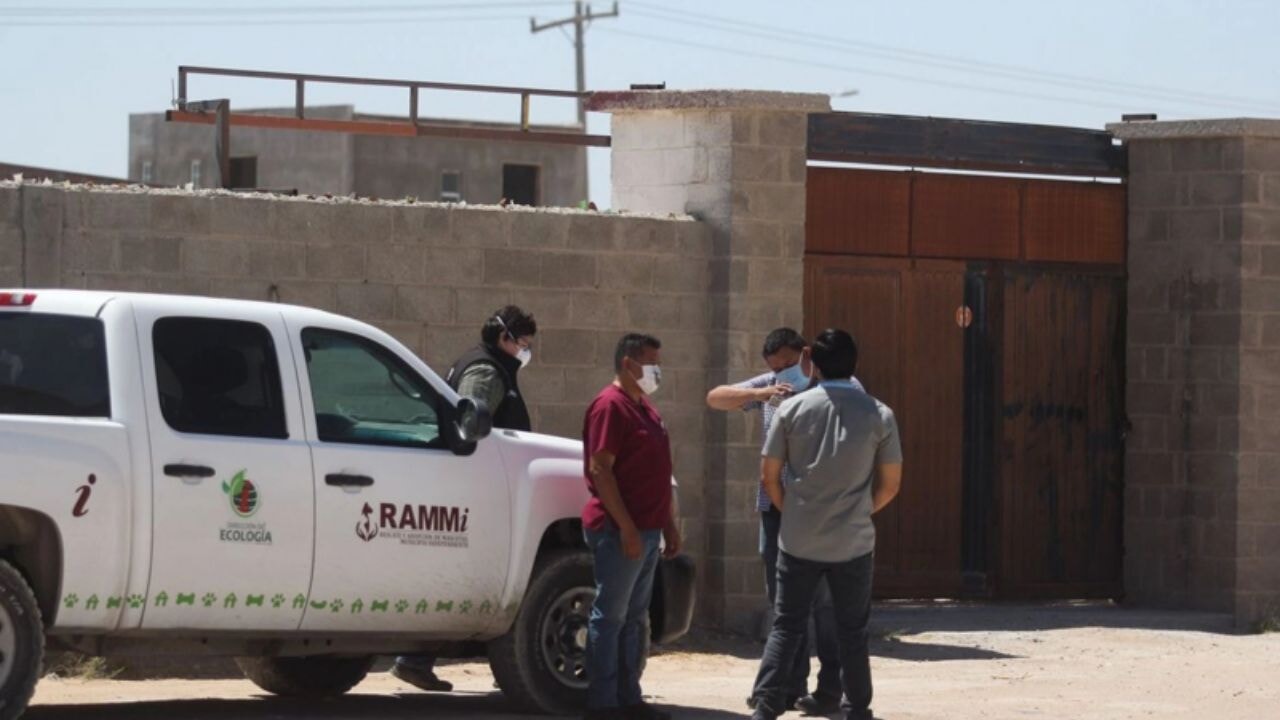 Meksika'da gizli cesetler: 127 Bin kayıp kişi endişeyi artırıyor