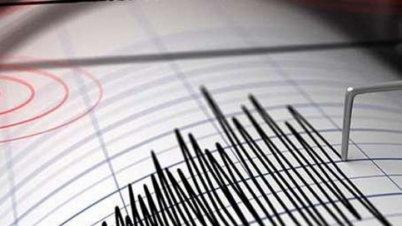 Şiddetli deprem sonrası tsunmai alarmı!