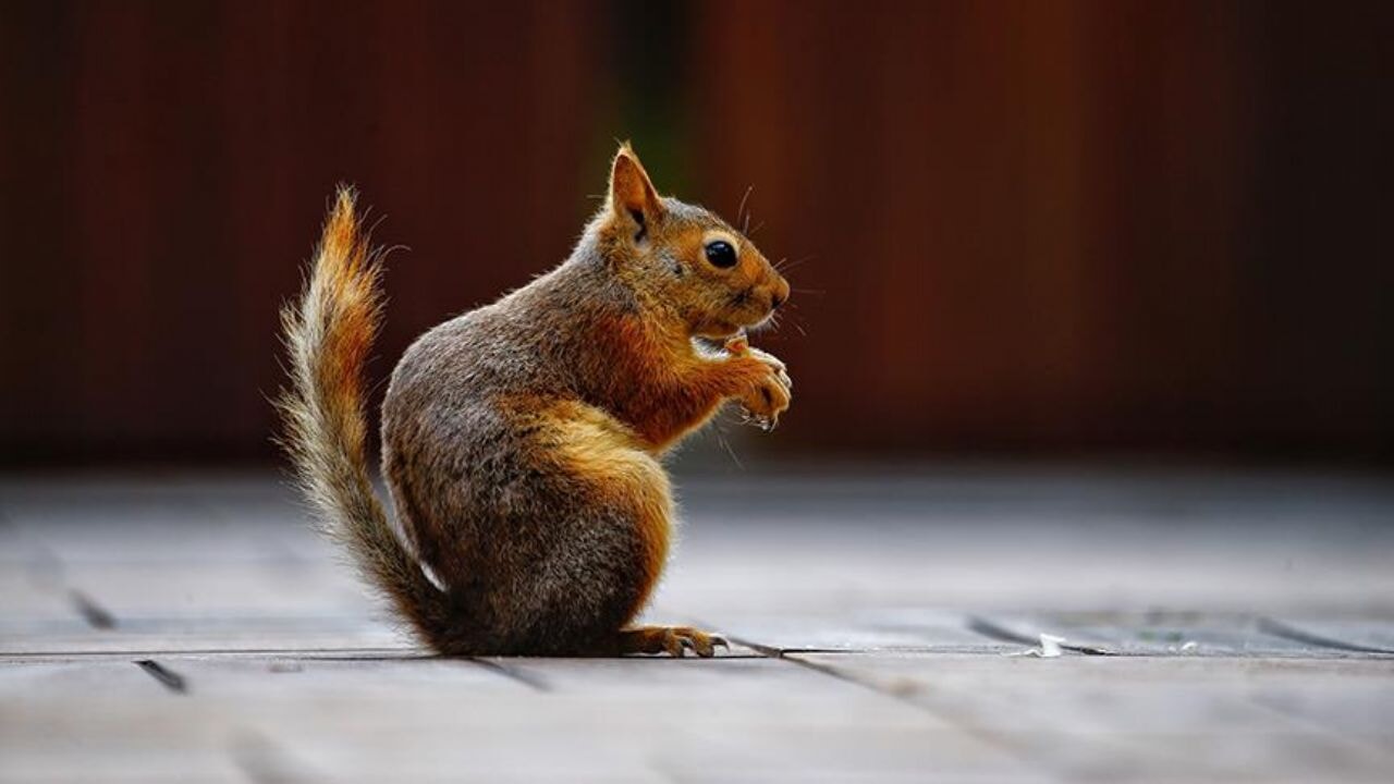 Sincap, binlerce kişi ve işletmeyi karanlıkta bıraktı