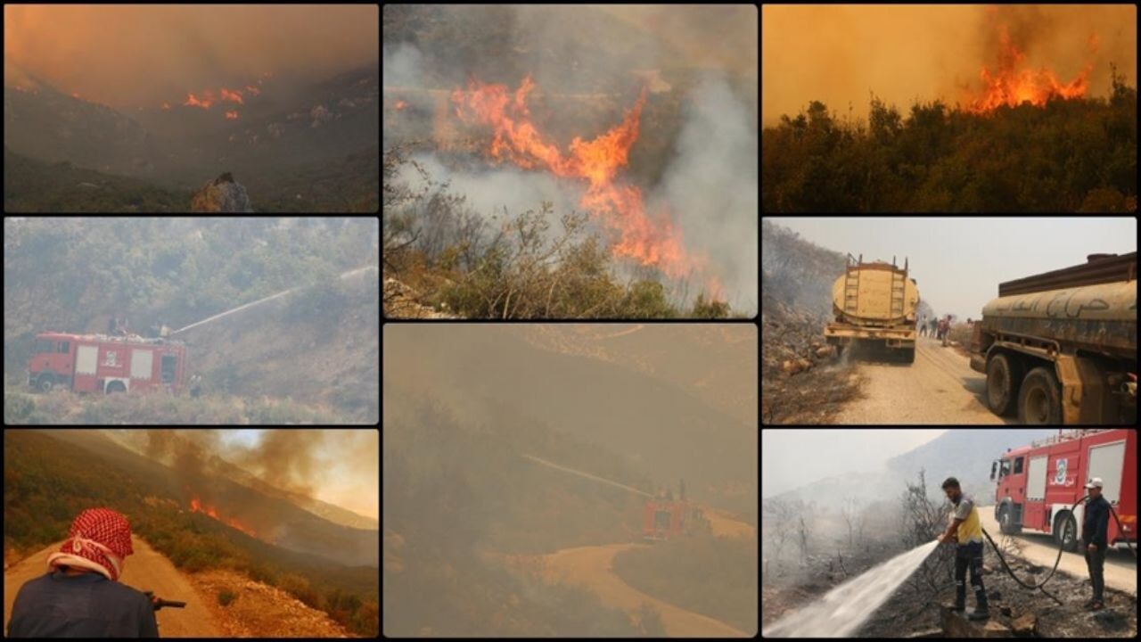 Suriye'de orman yangınları