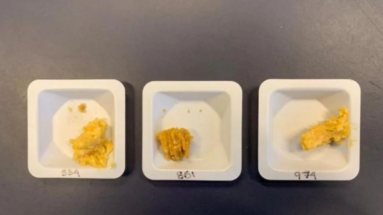 Uzayda yapılan miso beklenmedik tat farkıyla bilim insanlarını şaşırttı