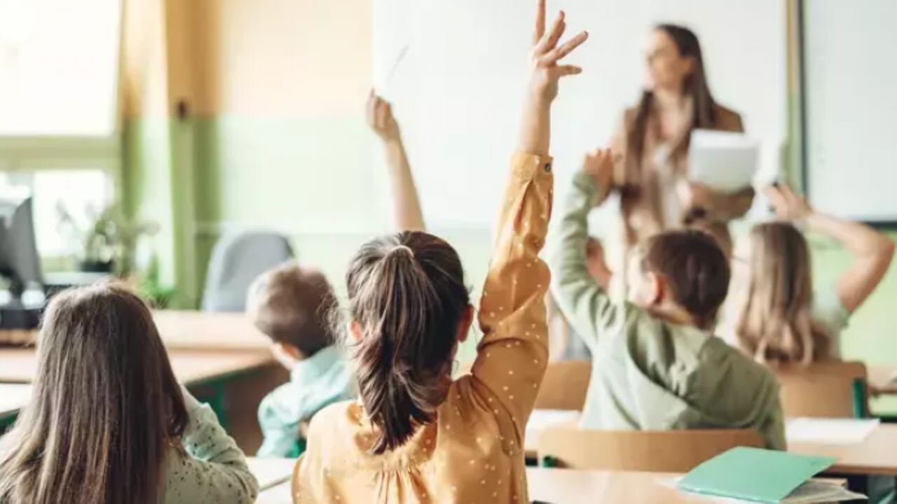 Timetürk yazarı Prof. Dr. Abdulvahap Akıncı kaleme aldı: 'Zorunlu/Sorunlu eğitim üzerine'