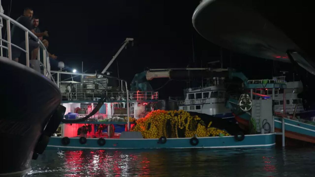 2025-2026 balık av sezonu törenle Trabzon'da açıldı