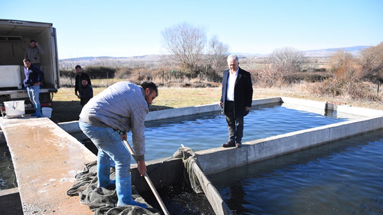 Afyon'un Yapağılı köyünden 10 Avrupa ülkesine alabalık ihracatı yapıyorlar