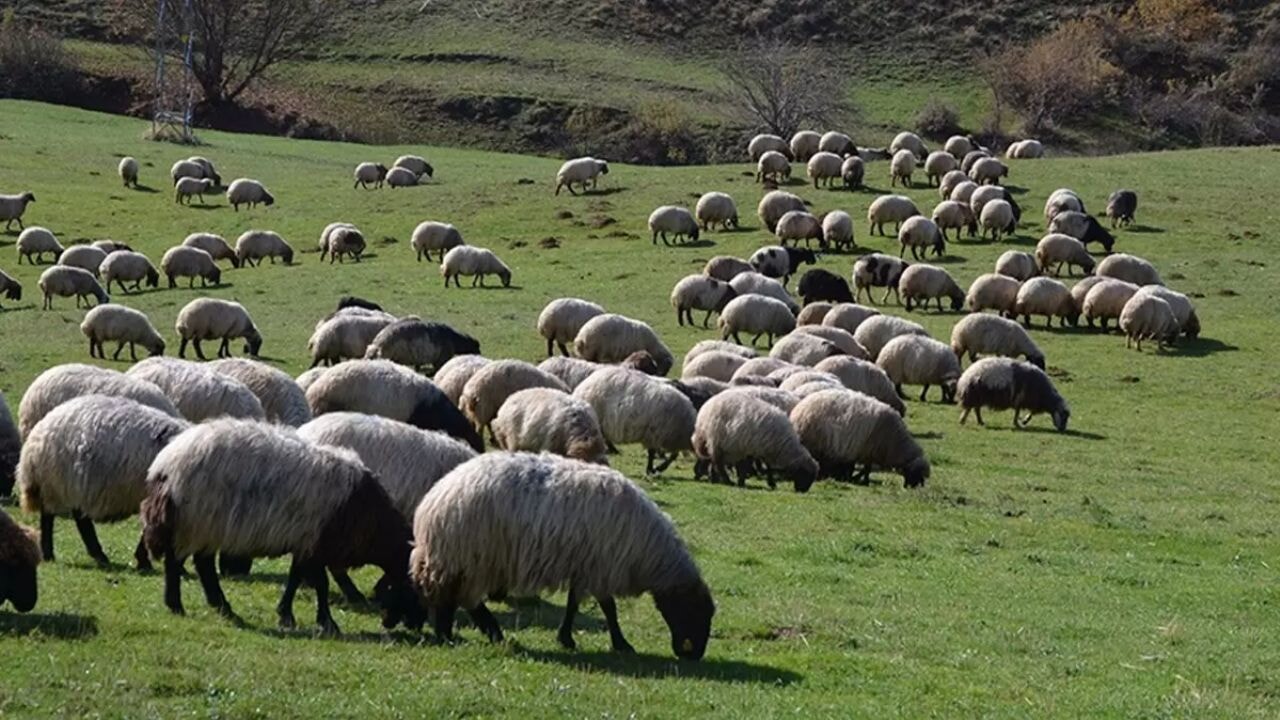 Bakan Yumaklı düğmeye bastı: 329 proje için dev hibe kararı