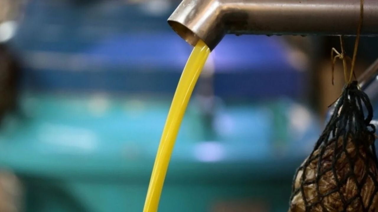 Bakanlık açıkladı! 11 zeytinyağı markası ifşa edildi