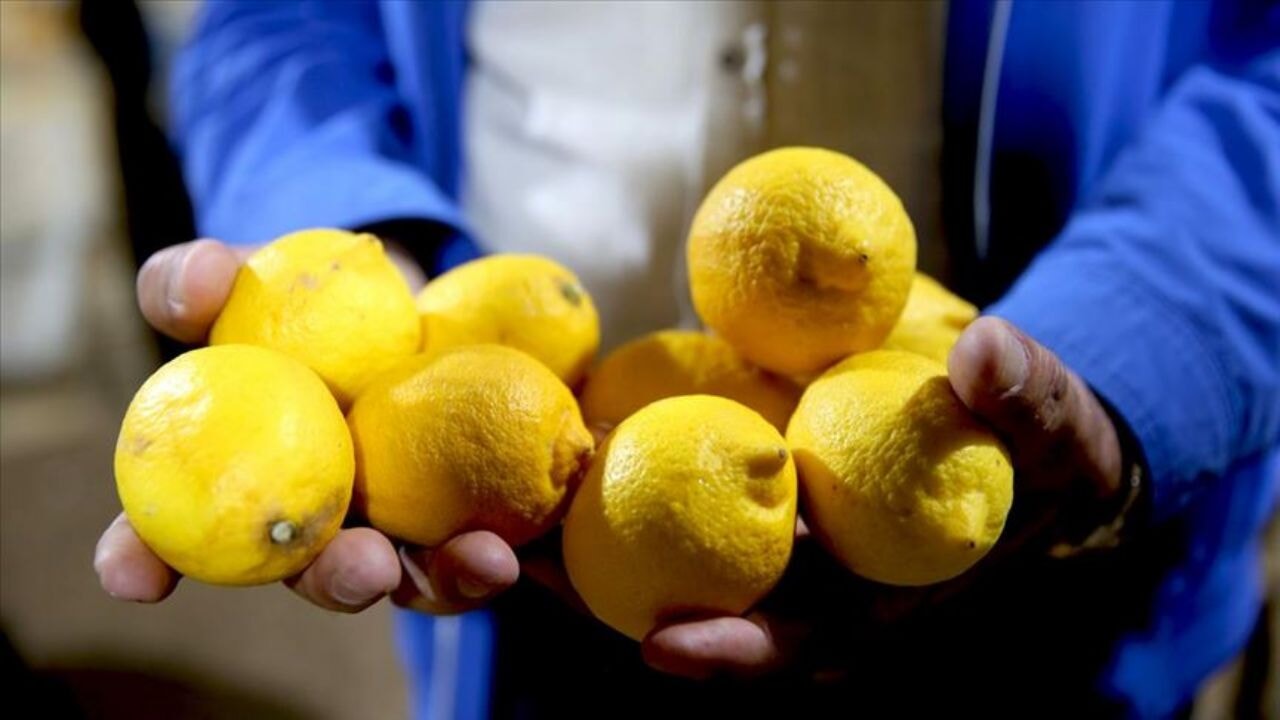 Bakanlıktan limon satışına müdahale!