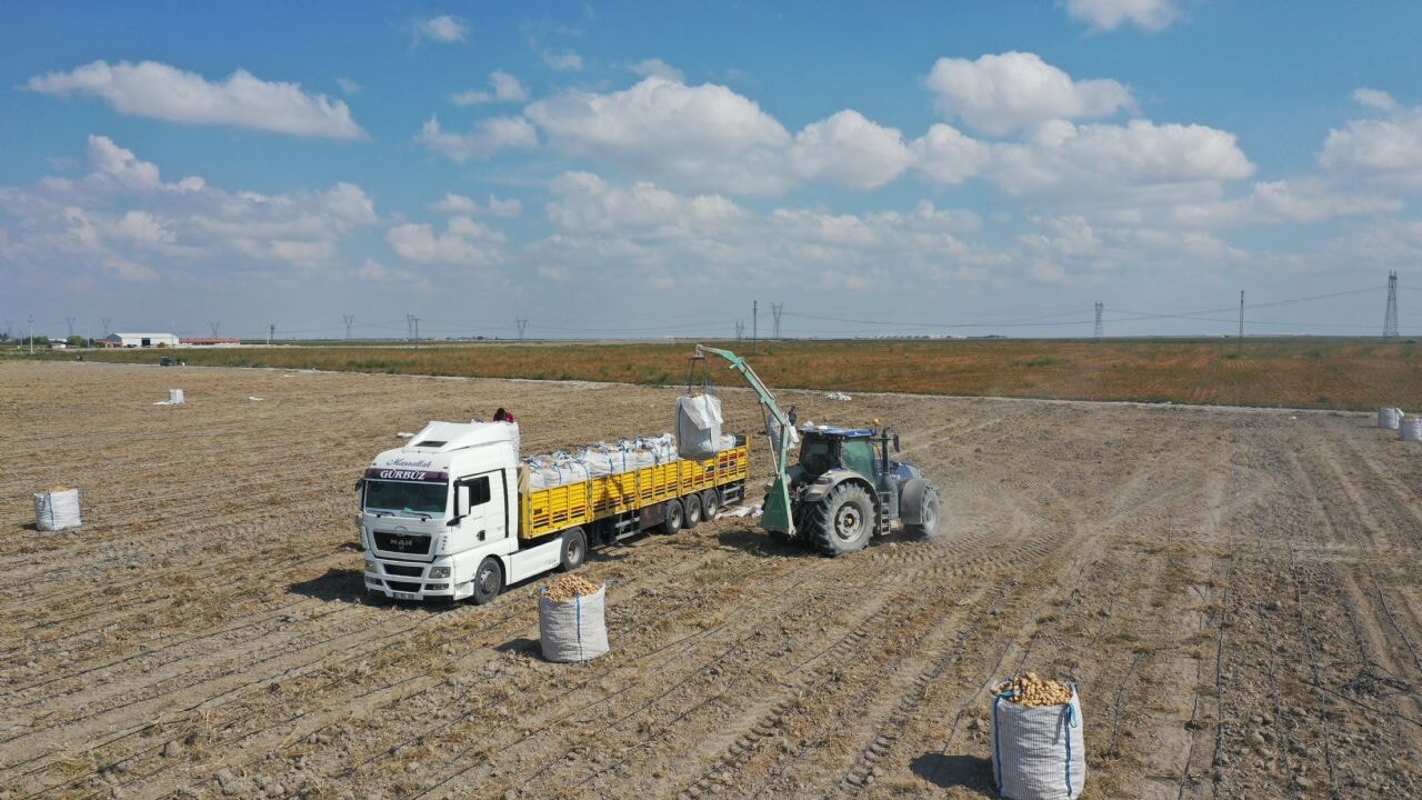 Başkan Erkoyuncu: 2027 yılında patates tohumunda dışa bağımlılık bitecek
