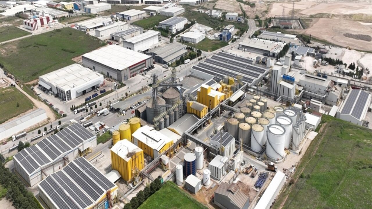 Cargill'den 'Türkiye ekonomisi' raporu