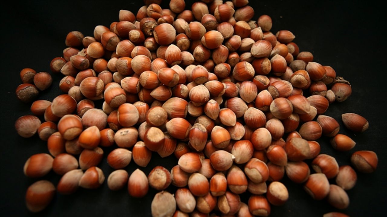 Fındıkta alıcı da satıcı da iyi fiyat bekliyor