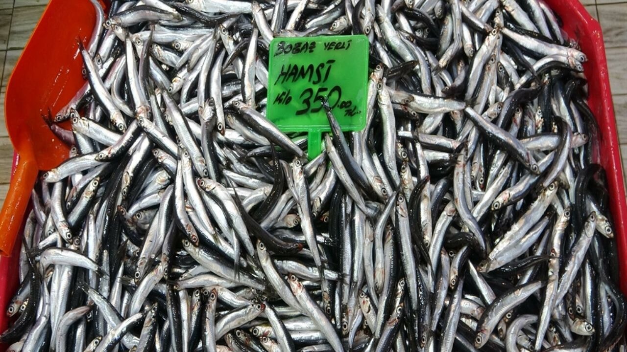 Hamsi lüks oldu, balıkta kilo fiyatları uçtu!