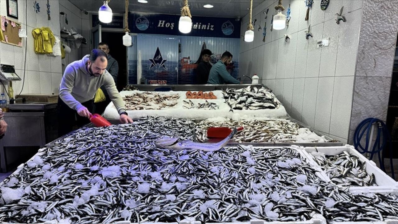 Hamsi, mezgit ve sardalyadaki bolluk fiyatlara yansıdı