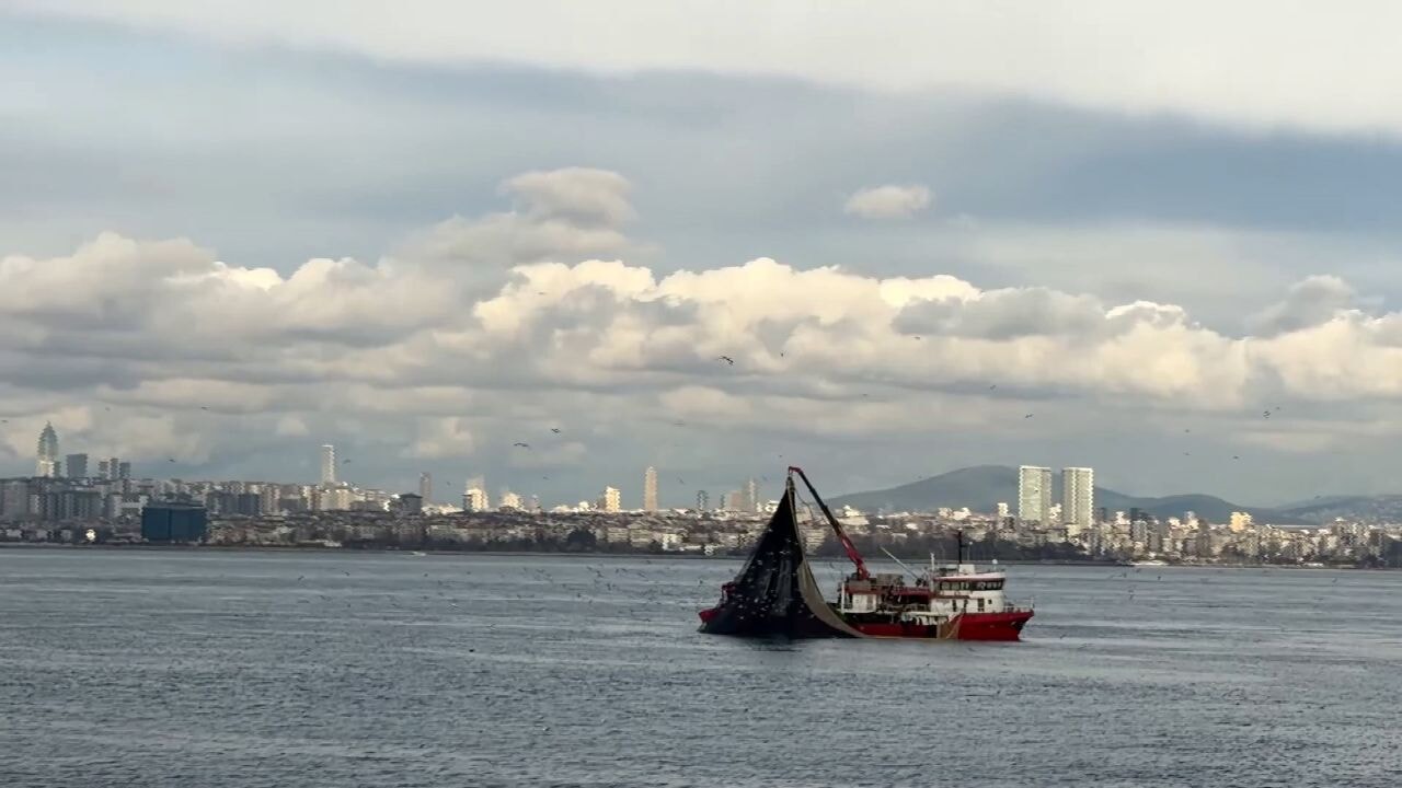 İstavrit bereketi devam ediyor