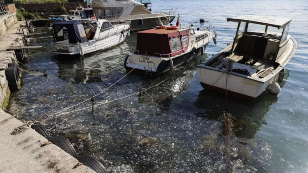 Marmara'da müsilaj etkisi altındaki balıkçılara devlet desteği başladı