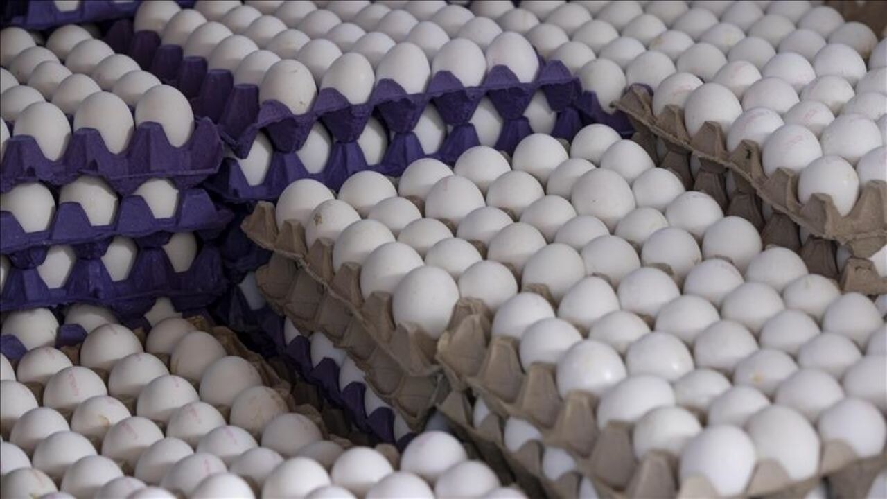 Mayısta fiyatı en çok artan ve düşen ürünler