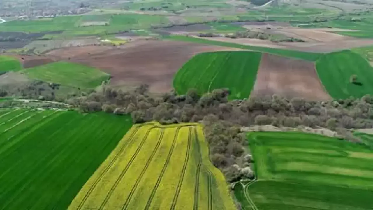Tapu sahipleri aman dikkat! Bakanlık direkt kiraya verebilecek