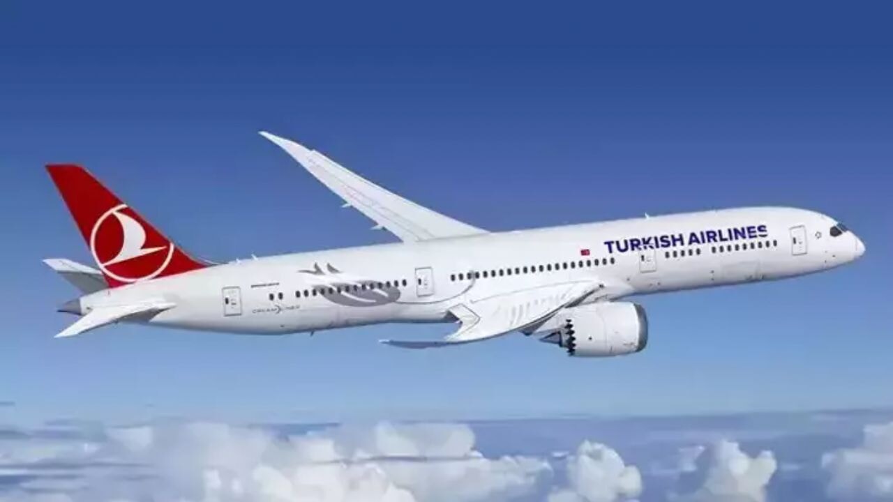 Türk Hava Yolları'ndan yurt içi seyahatte büyük bilet indirimi