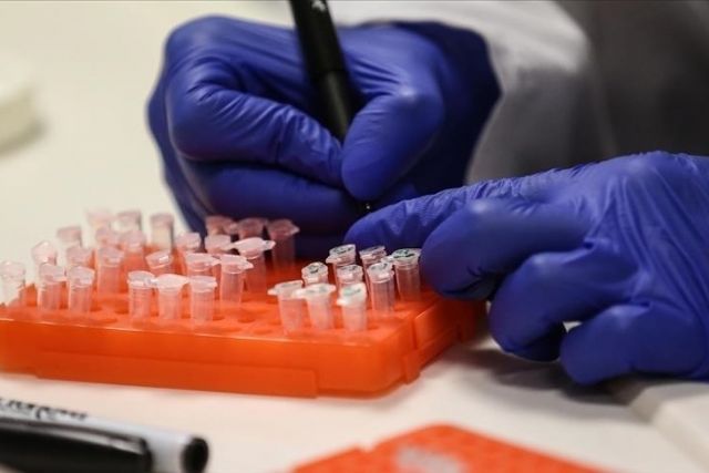 WHO declares mpox public health emergency of international concern