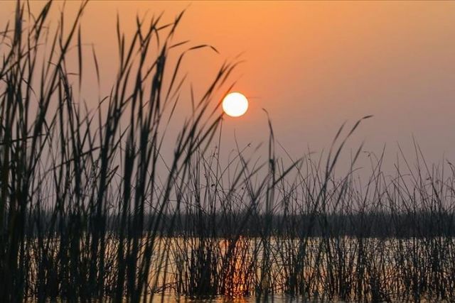 The hidden beauty of Mesopotamian marchlands