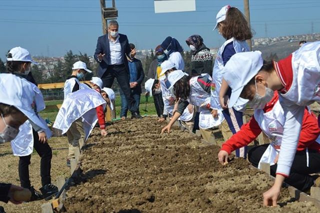 Little farmers learn agriculture with EU-funded project
