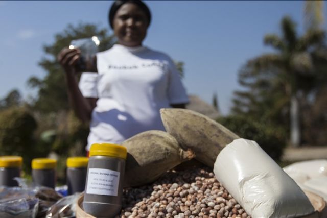 Zimbabwe’s indigenous baobab coffee makers strike gold