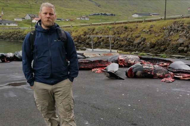Activist speaks out on traditional dolphin slaughter off Denmark’s Faroe Islands