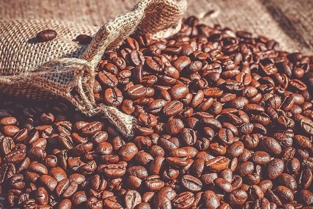 Kenya's world-famous java faces potential climate disaster