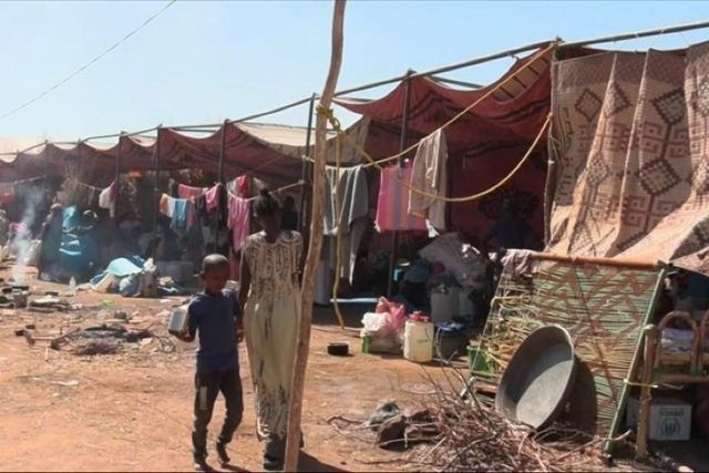 30,000 flee to Chad after ethnic violence kills 22 in Cameroon