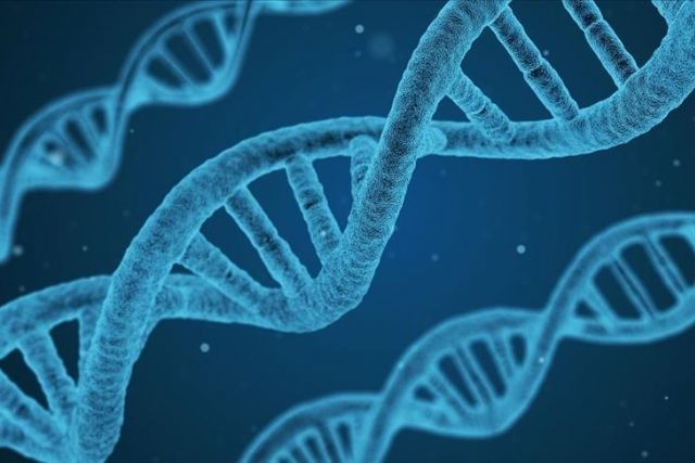 Scientists in Canada develop world's smallest DNA antenna