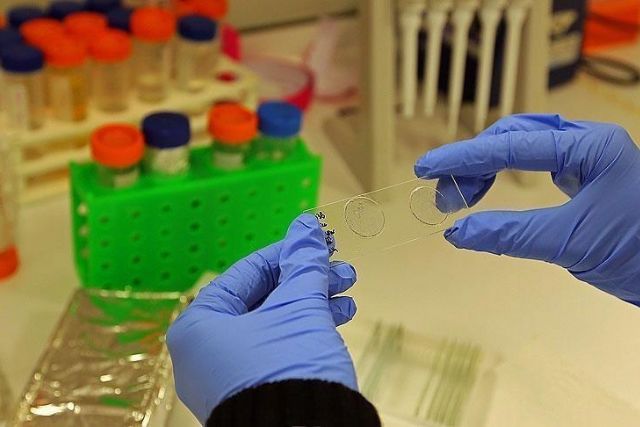 Zimbabwean cancer patients at risk as vital equipment runs short