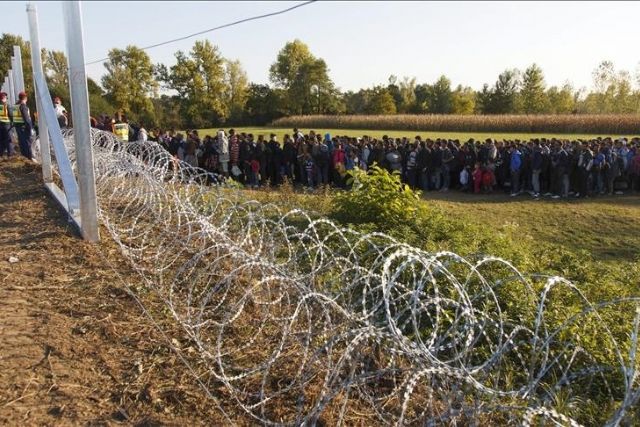 Hungary blocks entry of 685 irregular migrants in last 3 days
