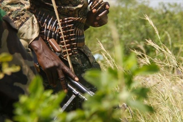 M23 rebels killed 20 men, raped 66 women in DR Congo: Amnesty