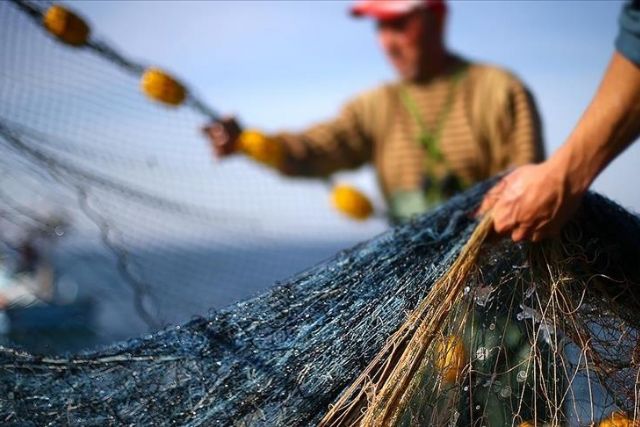 Overfishing in Mediterranean, Black Sea at lowest level in 10 years: UN