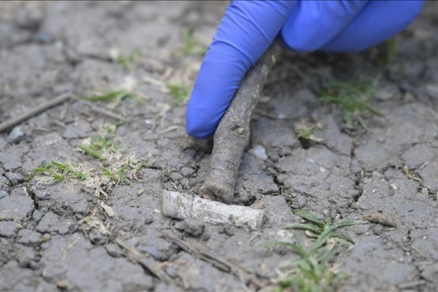 Study finds alarming levels of microplastic pollution from cigarette butts on Istanbul's shores