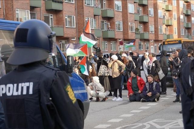 Copenhagen police arrest scores of pro-Palestinian activists on charges of 'disturbing' peace